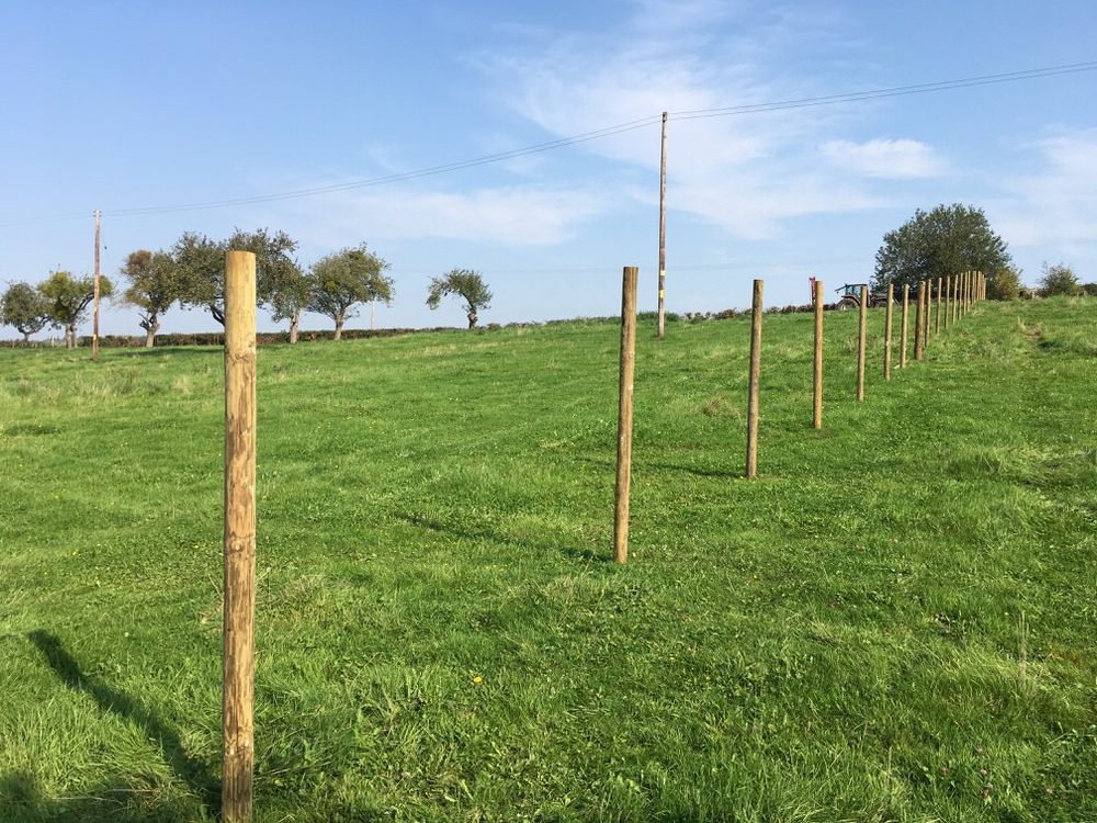 Happy Paws Outdoors secure fencing